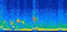 /calipso-imagery/data/BROWSE/production/V5-00/2013-01-30/2013-01-30_13-51-42_V5.00_2_thmb.png image missing