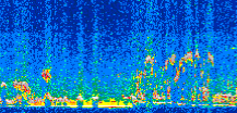 /calipso-imagery/data/BROWSE/production/V5-00/2013-02-28/2013-02-28_16-41-55_V5.00_2_thmb.png image missing