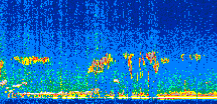 /calipso-imagery/data/BROWSE/production/V5-00/2013-02-28/2013-02-28_23-17-31_V5.00_2_thmb.png image missing