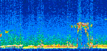 /calipso-imagery/data/BROWSE/production/V5-00/2013-03-06/2013-03-06_09-29-58_V5.00_2_thmb.png image missing