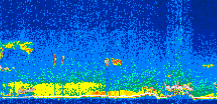 /calipso-imagery/data/BROWSE/production/V5-00/2013-03-06/2013-03-06_12-47-44_V5.00_3_thmb.png image missing