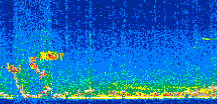 /calipso-imagery/data/BROWSE/production/V5-00/2013-03-06/2013-03-06_14-26-39_V5.00_2_thmb.png image missing