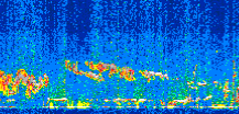 /calipso-imagery/data/BROWSE/production/V5-00/2013-03-06/2013-03-06_19-23-20_V5.00_2_thmb.png image missing