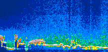 /calipso-imagery/data/BROWSE/production/V5-00/2013-03-08/2013-03-08_06-00-04_V5.00_1_thmb.png image missing
