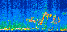 /calipso-imagery/data/BROWSE/production/V5-00/2013-03-08/2013-03-08_07-38-54_V5.00_2_thmb.png image missing