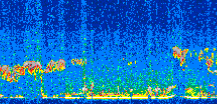/calipso-imagery/data/BROWSE/production/V5-00/2013-03-08/2013-03-08_15-53-25_V5.00_2_thmb.png image missing