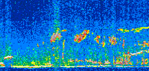 /calipso-imagery/data/BROWSE/production/V5-00/2013-03-08/2013-03-08_17-32-16_V5.00_2_thmb.png image missing