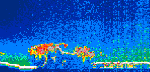 /calipso-imagery/data/BROWSE/production/V5-00/2013-03-08/2013-03-08_22-28-56_V5.00_1_thmb.png image missing