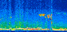 /calipso-imagery/data/BROWSE/production/V5-00/2013-03-09/2013-03-09_08-22-18_V5.00_2_thmb.png image missing