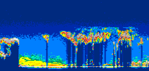 /calipso-imagery/data/BROWSE/production/V5-00/2013-03-21/2013-03-21_19-34-07_V5.00_2_thmb.png image missing
