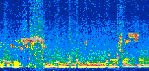 /calipso-imagery/data/BROWSE/production/V5-00/2013-04-01/2013-04-01_15-06-57_V5.00_2_thmb.png image missing