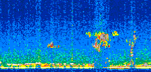 /calipso-imagery/data/BROWSE/production/V5-00/2013-04-01/2013-04-01_20-03-38_V5.00_2_thmb.png image missing