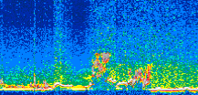 /calipso-imagery/data/BROWSE/production/V5-00/2013-04-16/2013-04-16_17-43-13_V5.00_3_thmb.png image missing