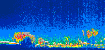 /calipso-imagery/data/BROWSE/production/V5-00/2013-04-18/2013-04-18_07-37-43_V5.00_1_thmb.png image missing