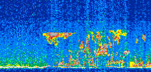 /calipso-imagery/data/BROWSE/production/V5-00/2013-04-18/2013-04-18_17-31-04_V5.00_2_thmb.png image missing