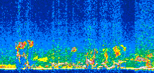 /calipso-imagery/data/BROWSE/production/V5-00/2013-04-19/2013-04-19_00-06-40_V5.00_3_thmb.png image missing