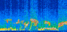 /calipso-imagery/data/BROWSE/production/V5-00/2013-04-19/2013-04-19_14-56-37_V5.00_3_thmb.png image missing