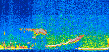 /calipso-imagery/data/BROWSE/production/V5-00/2013-04-19/2013-04-19_18-14-27_V5.00_3_thmb.png image missing