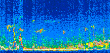 /calipso-imagery/data/BROWSE/production/V5-00/2013-04-23/2013-04-23_07-56-44_V5.00_2_thmb.png image missing