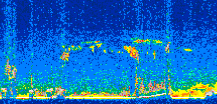 /calipso-imagery/data/BROWSE/production/V5-00/2013-04-24/2013-04-24_10-18-57_V5.00_2_thmb.png image missing