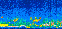 /calipso-imagery/data/BROWSE/production/V5-00/2013-04-24/2013-04-24_10-18-57_V5.00_3_thmb.png image missing