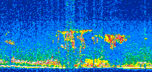 /calipso-imagery/data/BROWSE/production/V5-00/2013-05-28/2013-05-28_16-44-25_V5.00_2_thmb.png image missing