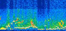 /calipso-imagery/data/BROWSE/production/V5-00/2013-05-28/2013-05-28_23-19-56_V5.00_3_thmb.png image missing