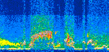/calipso-imagery/data/BROWSE/production/V5-00/2013-05-30/2013-05-30_11-35-26_V5.00_3_thmb.png image missing