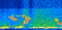 /calipso-imagery/data/BROWSE/production/V5-00/2013-05-30/2013-05-30_18-10-57_V5.00_3_thmb.png image missing