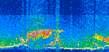 /calipso-imagery/data/BROWSE/production/V5-00/2013-05-30/2013-05-30_19-49-52_V5.00_3_thmb.png image missing