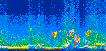 /calipso-imagery/data/BROWSE/production/V5-00/2013-05-30/2013-05-30_21-28-47_V5.00_3_thmb.png image missing