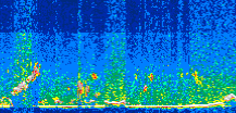 /calipso-imagery/data/BROWSE/production/V5-00/2013-05-30/2013-05-30_23-07-37_V5.00_3_thmb.png image missing