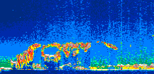 /calipso-imagery/data/BROWSE/production/V5-00/2013-06-01/2013-06-01_03-08-41_V5.00_1_thmb.png image missing