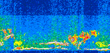 /calipso-imagery/data/BROWSE/production/V5-00/2013-06-01/2013-06-01_04-47-36_V5.00_3_thmb.png image missing