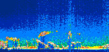 /calipso-imagery/data/BROWSE/production/V5-00/2013-06-01/2013-06-01_08-05-22_V5.00_1_thmb.png image missing