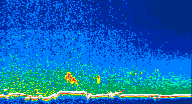 /calipso-imagery/data/BROWSE/production/V5-00/2013-06-01/2013-06-01_08-05-22_V5.00_4_thmb.png image missing