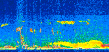 /calipso-imagery/data/BROWSE/production/V5-00/2013-06-01/2013-06-01_09-44-17_V5.00_2_thmb.png image missing
