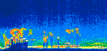 /calipso-imagery/data/BROWSE/production/V5-00/2013-06-01/2013-06-01_11-23-07_V5.00_1_thmb.png image missing