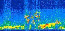 /calipso-imagery/data/BROWSE/production/V5-00/2013-06-01/2013-06-01_13-02-02_V5.00_2_thmb.png image missing