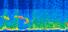 /calipso-imagery/data/BROWSE/production/V5-00/2013-06-01/2013-06-01_16-19-48_V5.00_3_thmb.png image missing