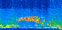 /calipso-imagery/data/BROWSE/production/V5-00/2013-06-01/2013-06-01_19-37-33_V5.00_3_thmb.png image missing