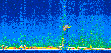 /calipso-imagery/data/BROWSE/production/V5-00/2013-06-01/2013-06-01_21-16-24_V5.00_2_thmb.png image missing