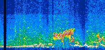 /calipso-imagery/data/BROWSE/production/V5-00/2013-06-01/2013-06-01_21-16-24_V5.00_3_thmb.png image missing