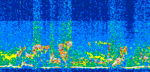 /calipso-imagery/data/BROWSE/production/V5-00/2013-06-02/2013-06-02_10-27-30_V5.00_3_thmb.png image missing