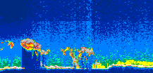 /calipso-imagery/data/BROWSE/production/V5-00/2013-06-02/2013-06-02_12-06-25_V5.00_1_thmb.png image missing