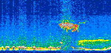 /calipso-imagery/data/BROWSE/production/V5-00/2013-06-02/2013-06-02_20-20-52_V5.00_2_thmb.png image missing