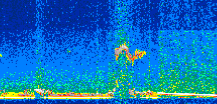 /calipso-imagery/data/BROWSE/production/V5-00/2013-06-02/2013-06-02_21-59-42_V5.00_2_thmb.png image missing