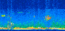 /calipso-imagery/data/BROWSE/production/V5-00/2013-06-02/2013-06-02_23-38-37_V5.00_2_thmb.png image missing