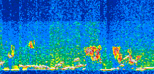 /calipso-imagery/data/BROWSE/production/V5-00/2013-06-02/2013-06-02_23-38-37_V5.00_3_thmb.png image missing