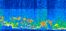 /calipso-imagery/data/BROWSE/production/V5-00/2013-06-03/2013-06-03_06-14-08_V5.00_3_thmb.png image missing